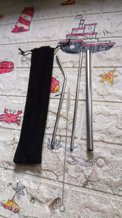 Reusable Stainless Steel Straws with Case for Drinking (4 Pc, Eco-Friendly)