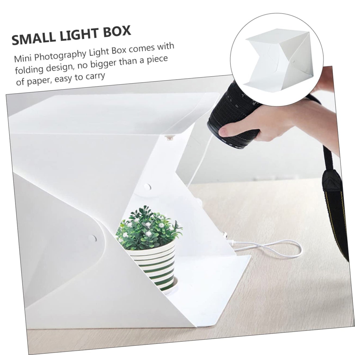 LED Light Box