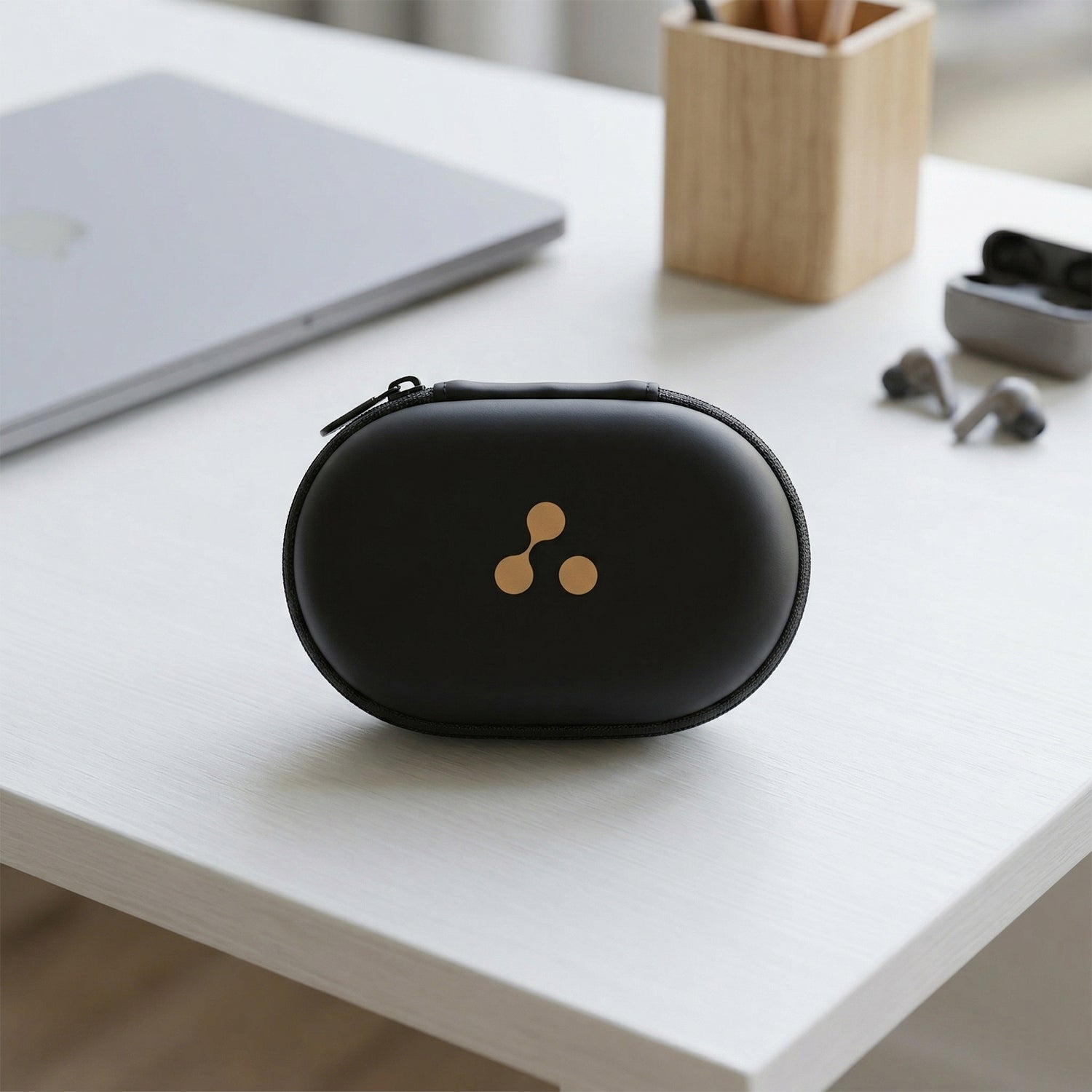 Portable earphone carrying case