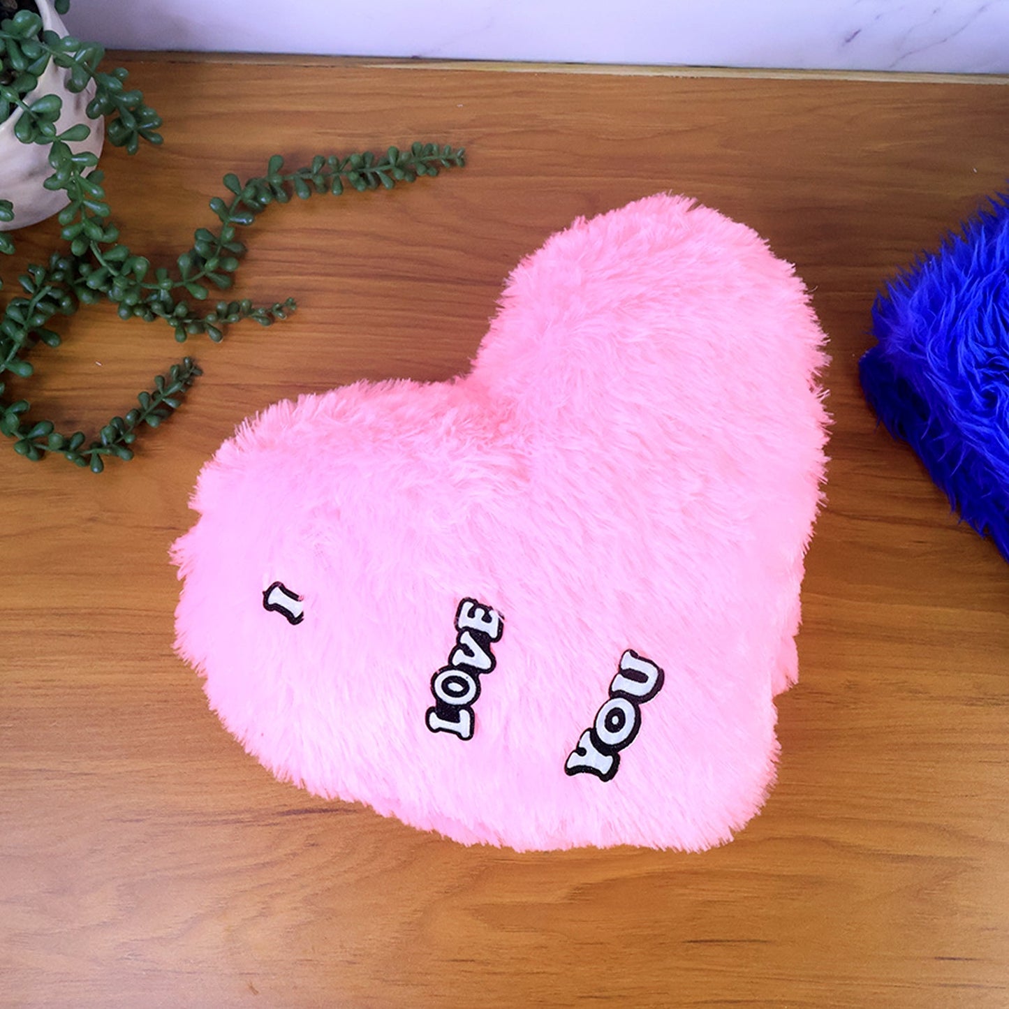 Sofa Cushion