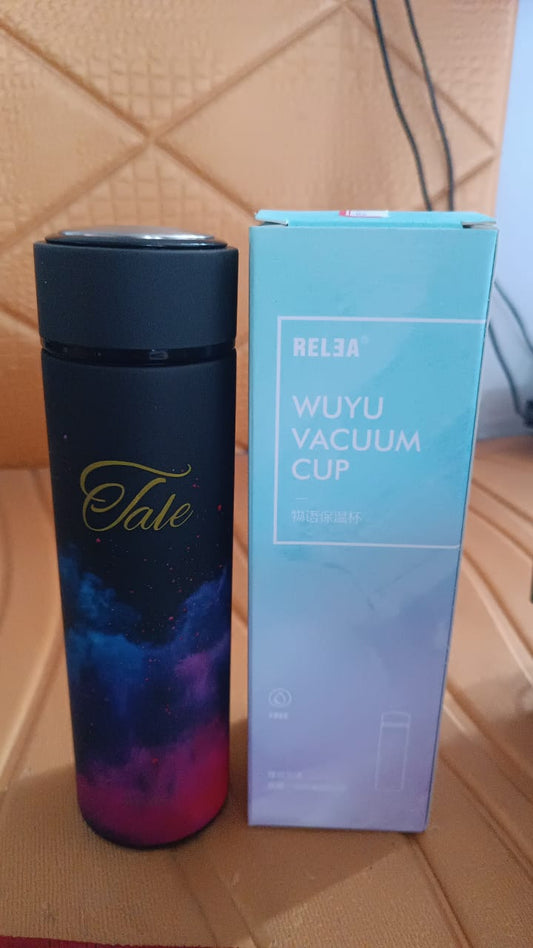 Stainless Steel Coloured Insulated Water Bottle (450ml Approx)