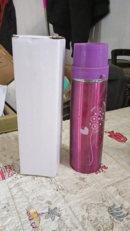 Stainless Steel Water Bottle – Leak Proof Gym Bottle (500 ML)