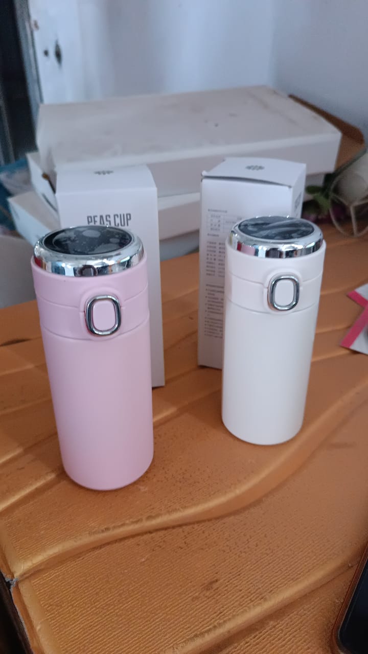 Smart Vacuum Insulated Water Bottle with LED Temperature Display (320 ml)